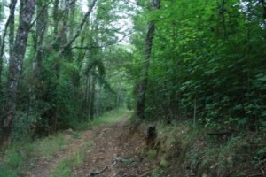 IMG_9832