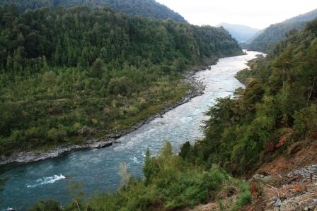 Colbún – Proyectos Ambientales Áreas Verdes Austral
