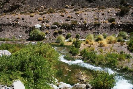 Proyectos Ambientales